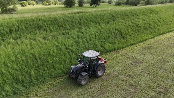 Drzewka tlenowe na plantacjach Oxytree24io dla osób nie posiadających własnych gruntów - obrazek 7