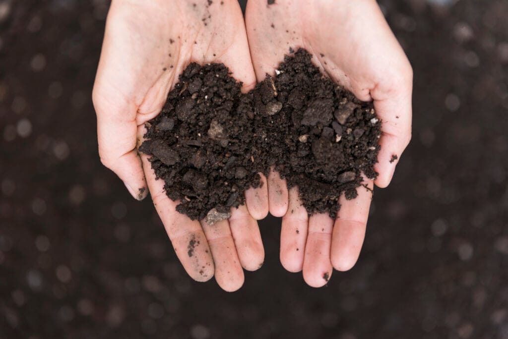 Zbadaj Swój Grunt Za Darmo - Sprawdź Potencjał Swojej Ziemi! 2 hands with soil