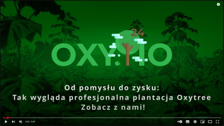 OxyTree Drzewa tlenowe 6 Zobacz naszą pracę w akcji! Tak powstają plantacje Oxytree.